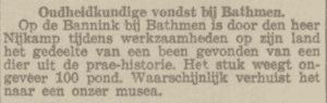 Walviskaak op de Bannink Krant Vondst walviskaak Bannink