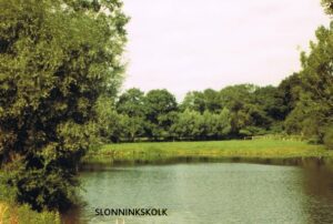 Slonninkskolk, op de Bannink