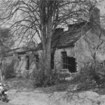 Foto van Mijn Stad Mijn Dorp