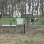 Natuur en Milieueducatiecentrum de Ulebelt april 2013