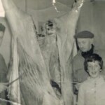 Het slachten van de eerste koe, na de 2e generatie Bielderman ca.1958 Het slachten van de eerste koe, na de 2e generatie Bielderman ca.1958