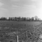 plaats waar nu de veld liggen van koninklijke ud