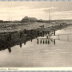 Schipbeek 2662840104