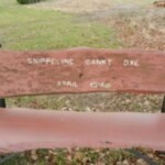 Bankje in Oxe Bankje in Oxe