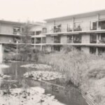 Binnentuin Huize Salland jaren 70-80, de vijver is destijds aangelegd niet voor de sier maar als extra waterput bij brand