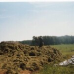 dit is de plek waar nu wildkamp op het smeenkhof aan de holterweg is gevestigd