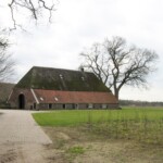 Boerderijen in Oxe