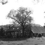 Boerderijen in Oxe