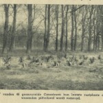 Graven van gesneuvelde Canadezen op Oxerhof, vlak na de bevrijding in 1945 Graven van gesneuvelde Canadezen op Oxerhof, vlak na de bevrijding in 1945