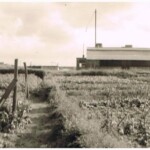 Kantoor en Magazijn van de firma Klosters op de Snippeling Kantoor en Magazijn van de firma Klosters op de Snippeling