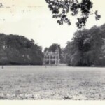 43608054