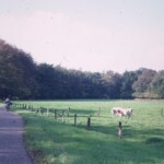 1976 en rechts is nu de Smeenkhof gevestigd rechts nu smeenkhof 1976