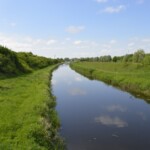 Schipbeek op 3-5-2025 Schipbeek op 3-5-2025