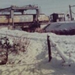 3976204414