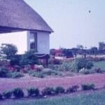 Veldpape ca.1950 Holterweg 86