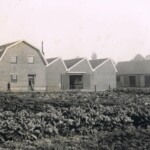 coöperatieve banninkse aankoopvereniging ca.1949 coöperatieve banninkse aankoopvereniging ca.1949