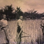 Oude school aan de Colmschaterstraatweg 84 " de Hulle " (Sanderman) Oude school aan de Colmschaterstraatweg 84 " de Hulle " (Sanderman)