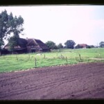 Assink Tijink Assink Tijink