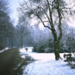Bloemendalsweg Colmschate