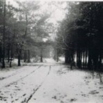 Bloemendalsweg besneeuwd Colmschate