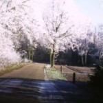 Bloemendalsweg Colmschate