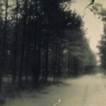 Bloemendalsweg zomer 1926