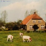 Boerderij De Keizer aan de Keizersweg (zijweggetje van de Oxersteeg). De boerderij staat er nog steeds. Nu ligt het aan de Kamperfoelie op het Bramelt.