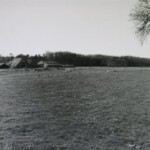 boerderij haarman op den haar