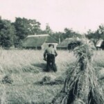 Boerderij de Veldpape aan de Holterweg, de heer Barvelink in 1937 aan het rogge maaien