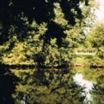 De Slonninkskolk op de Bannink Colmschate De Slonninkskolk op de Bannink Colmschate
