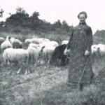Tante Dika Laarman met de schapen langs het Overijssels kanaal 1910 Tante Dika Laarman met de schapen langs het Overijssels kanaal 1910