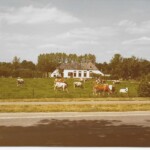 Erve Haarman Holterweg 107 eind jaren 70 erve haarman holterweg 107 eind jaren 70