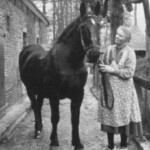 Jansje Sanderman van boerderij de Hulle Colmschaterstraatweg Colmschate