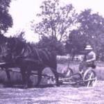 Johan Kloosterboer van het 't Roessink aan het gras maaien, nabij de Roessinksweg