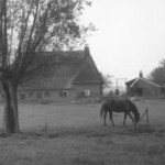 Katerstede de Hule Colmschate