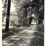 Nieuwedijk met de hooiberg van Haarman Colmschate