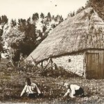 Schaapskooi in 't gebied bij Erve Bronsink in Lage Weteringen, in 1965 afgebroken