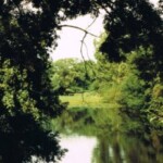 Slonninkskolk in Colmschate Zuid Slonninkskolk in Colmschate Zuid