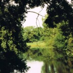 Slonninkskolk in Colmschate Zuid Slonninkskolk in Colmschate Zuid