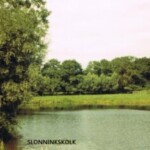 Slonninkskolk, op de Bannink Slonninkskolk, op de Bannink