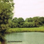 Slonninkskolk, op de Bannink Slonninkskolk, op de Bannink