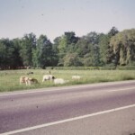 Achter de tuin van de pastorie, maar nog zonder De Kuip Colmschate Achter de tuin van de pastorie, maar nog zonder De Kuip Colmschate