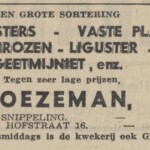 Advertentie van Bloemisterij De Snippeling 17-3-1950 Deventer Dagblad Advertentie van Bloemisterij De Snippeling Kloezeman 17-3-1950 Deventer Dagblad