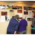 Foto's kijken van Muziekvereniging Eendracht in De Kuip Foto's kijken van Muziekvereniging Eendracht in De Kuip