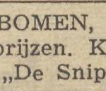 Kerstbomen te kopen bij Kloezeman 22-12-1958 Deventer Dagblad Kerstbomen te kopen bij Kloezeman 22-12-1958 Deventer Dagblad
