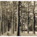 Sneeuw in Oxe februari 1958