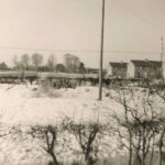 Sneeuw op de Snippeling 17-01-1963