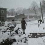 Veldpaperweg in de sneeuw