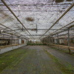 Woonhuis in het midden was van de Fam. Kloezeman. Achter het huis bevonden zich de kassen van hun orchideeën kwekerij. Woonhuis in het midden was van de Fam. Kloezeman. Achter het huis bevonden zich de kassen van hun orchideeën kwekerij.