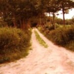 Weg door den Waterpot augustus 1981 Colmschate